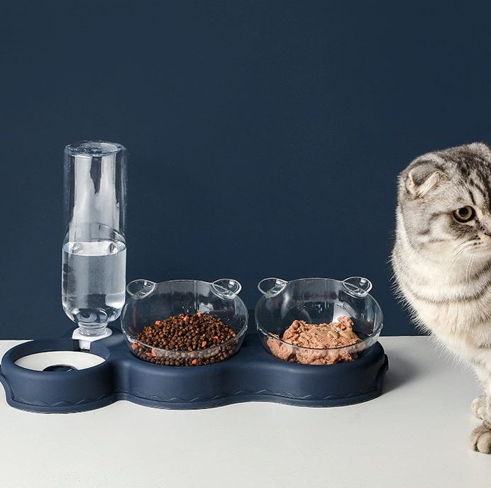 Kat naast Voerbak en waterdispenser voor katten en kleine honden 3-in-1